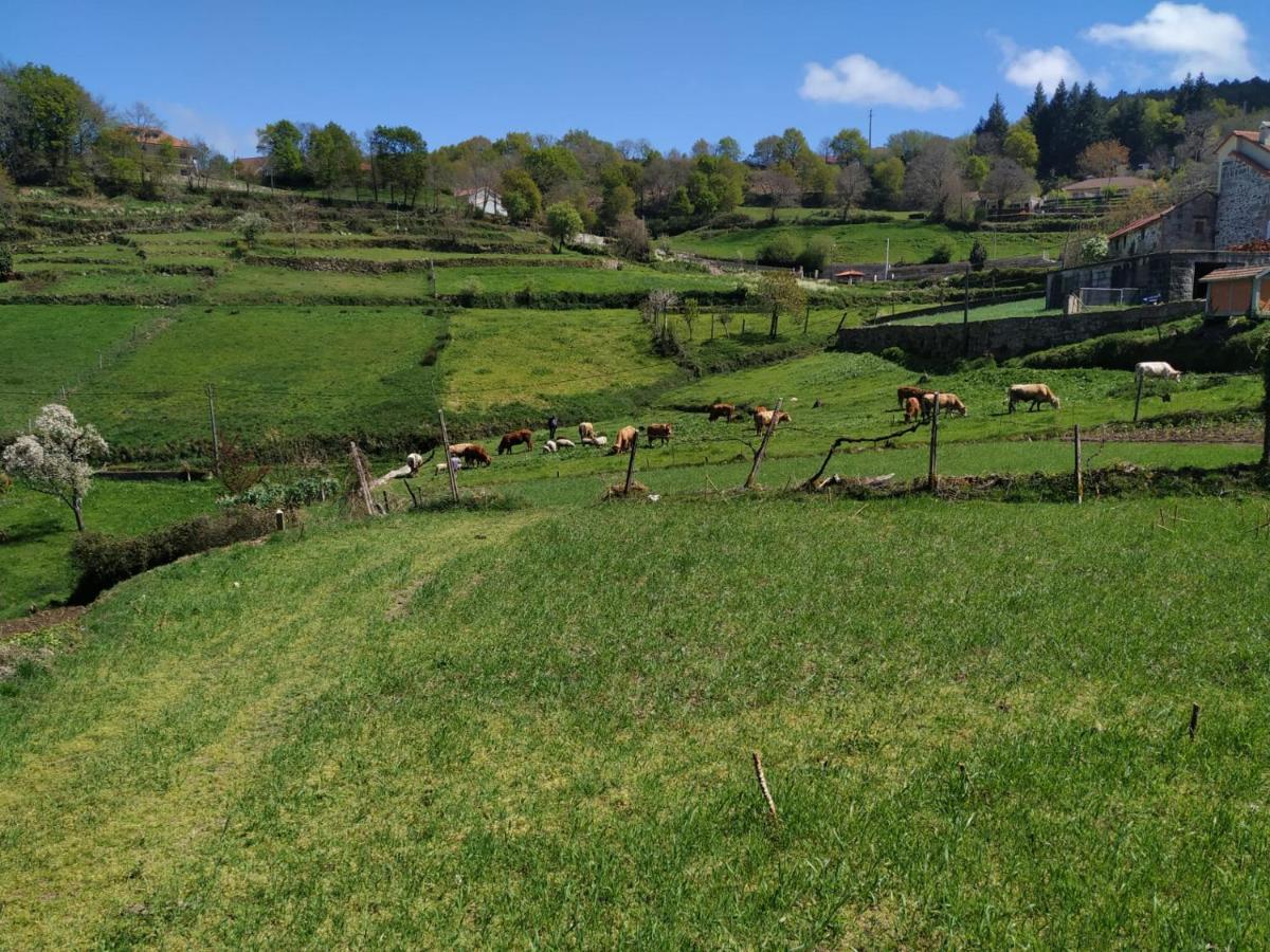 Pe Na Aldeia Villa Outeiro  Eksteriør bilde