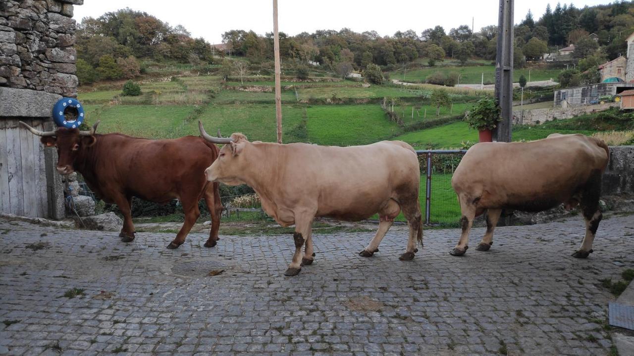 Pe Na Aldeia Villa Outeiro  Eksteriør bilde