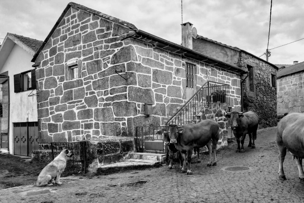 Pe Na Aldeia Villa Outeiro  Eksteriør bilde