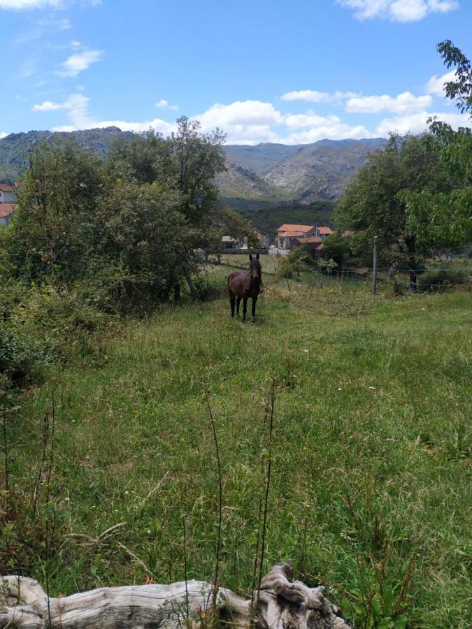 Pe Na Aldeia Villa Outeiro  Eksteriør bilde